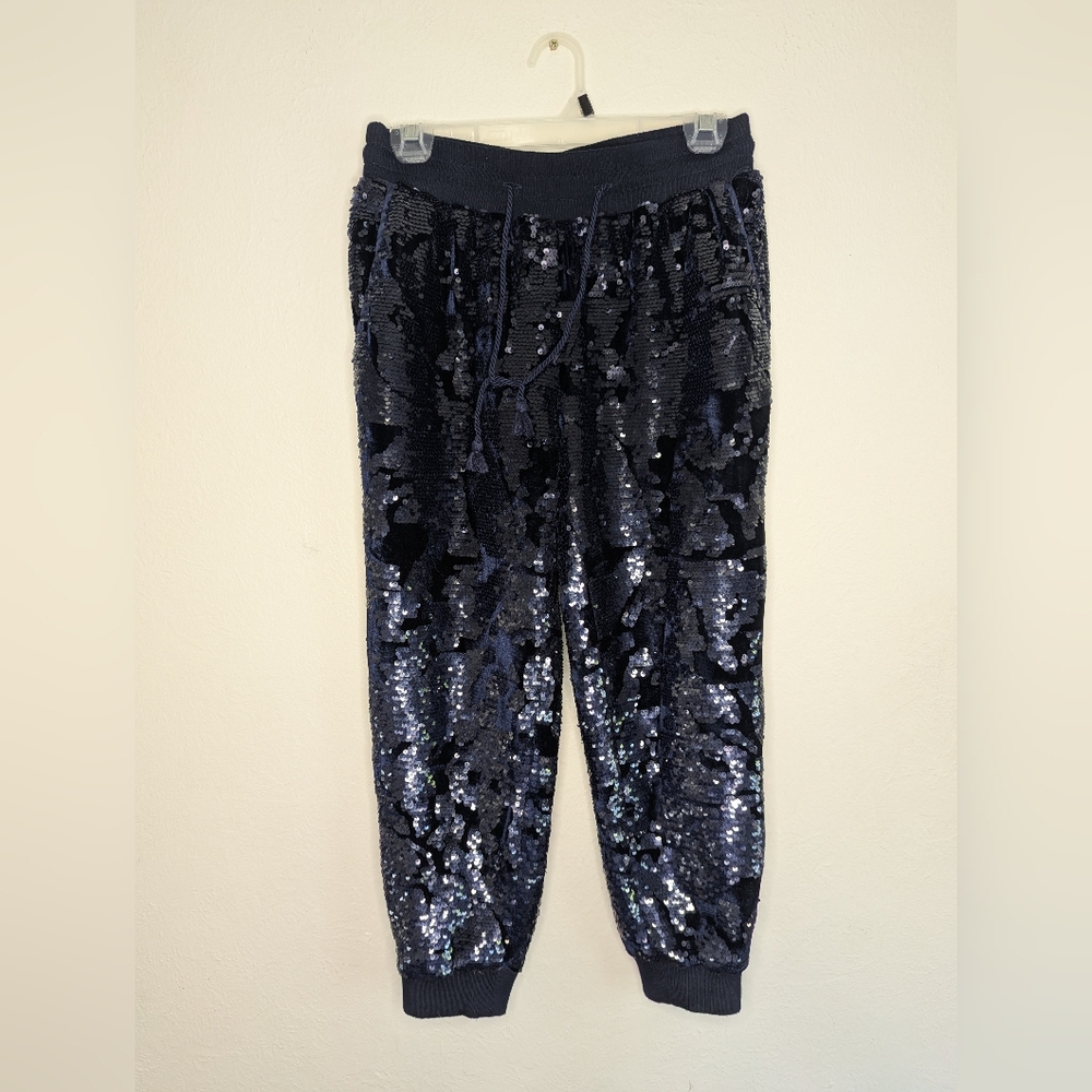 NWOT Ett Twa Anthropologie Navy Blue Velvet Sequin Jogger Pants Size XSP